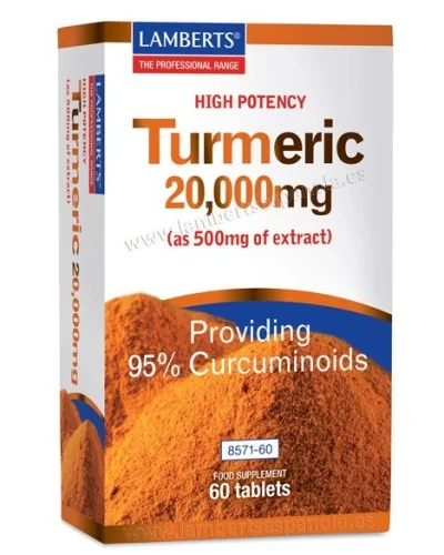 Lamberts Turmeric Curcuma 60 Tabs