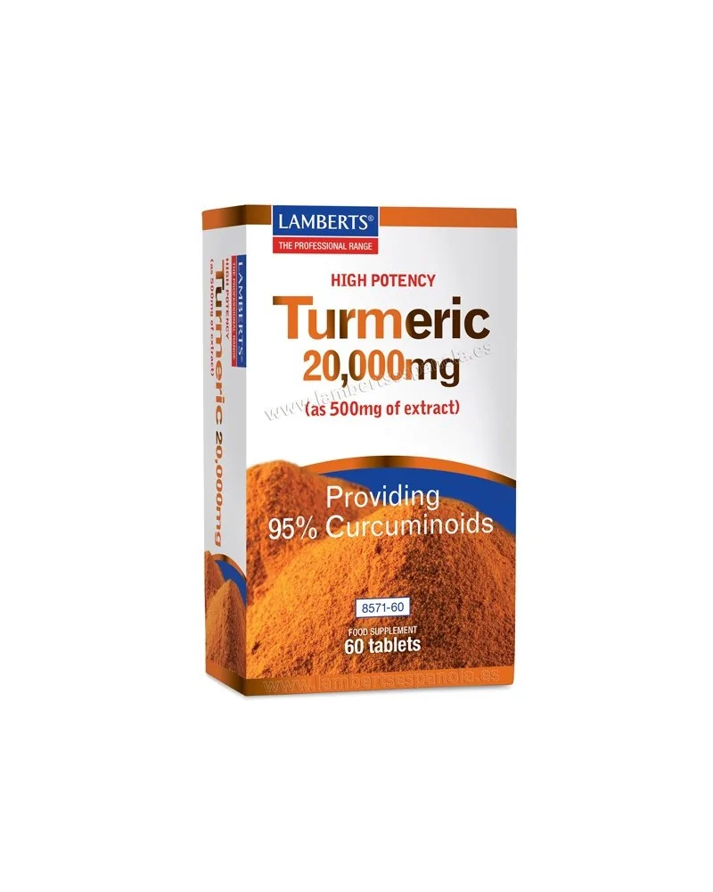 Lamberts Turmeric Curcuma 60 Tabs